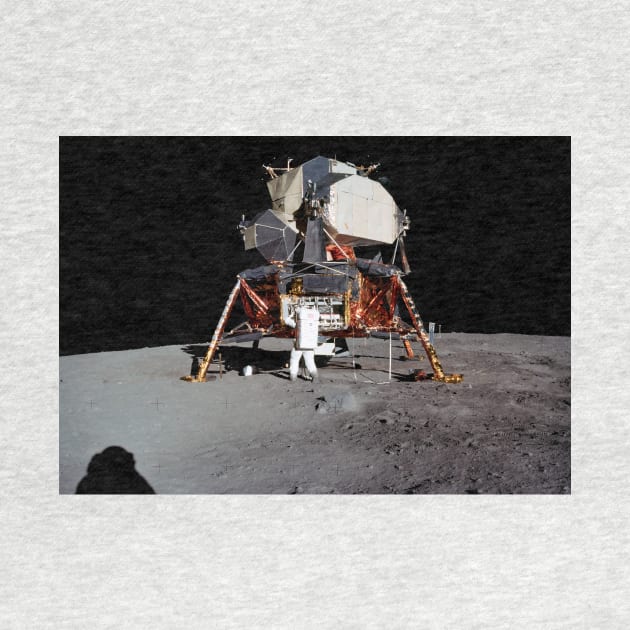 Apollo 11 lunar module (C021/0588) by SciencePhoto